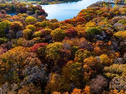 Elk Grove Village Illinois
